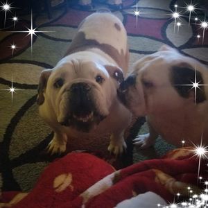 Meet your Posher, Debra